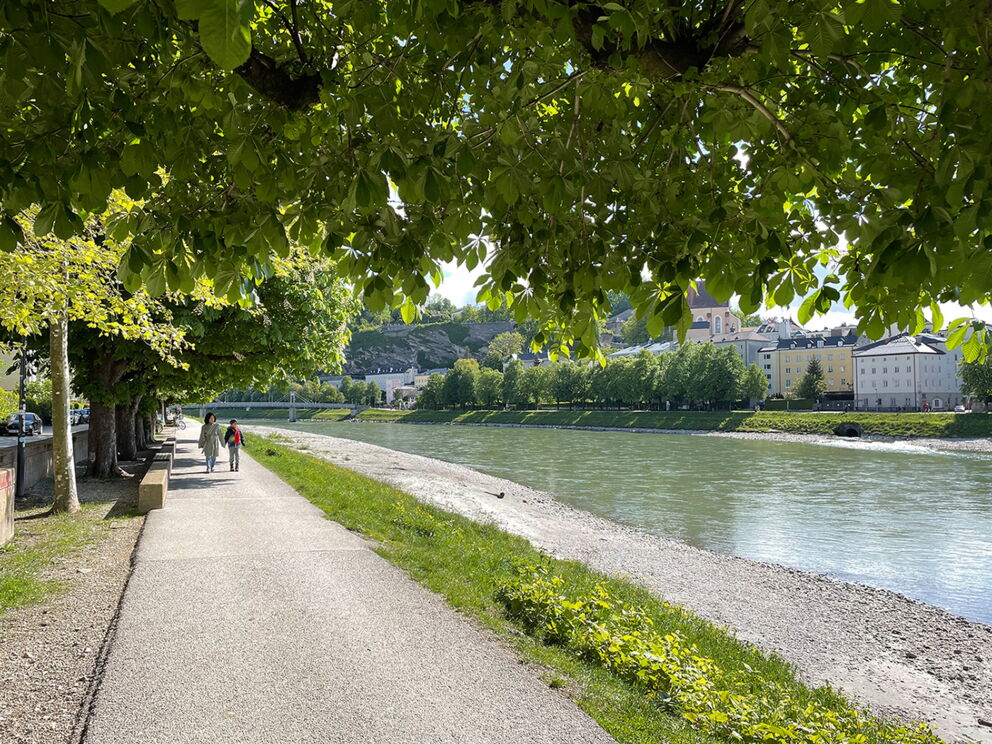 Schattiger Spazierweg entlang des Flusses mit grünen Bäumen und Blick auf die Stadt.