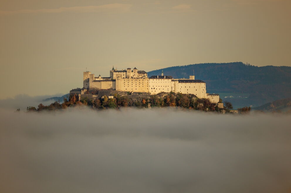 Historic fortress on a hill above a sea of clouds in the golden evening light.