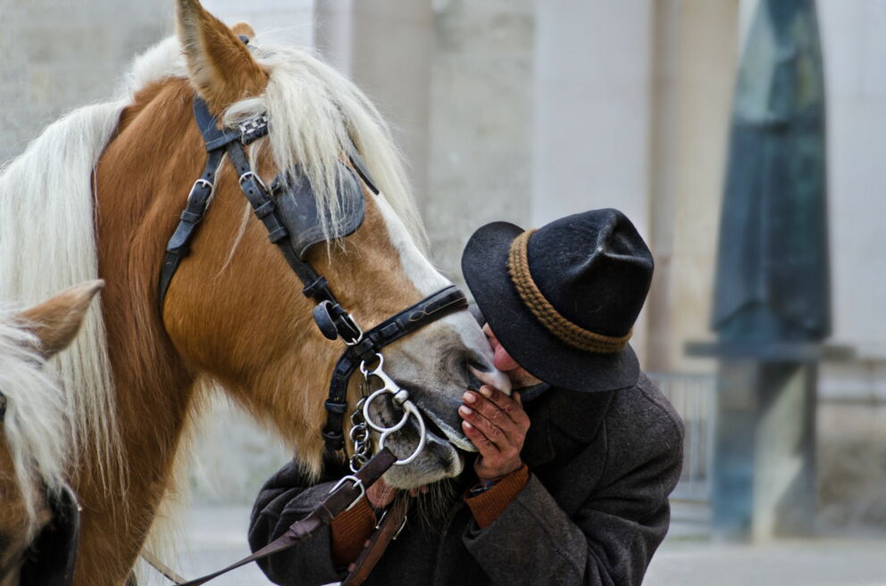 Man and horse in an intimate moment in front of a historical backdrop in Salzburg.